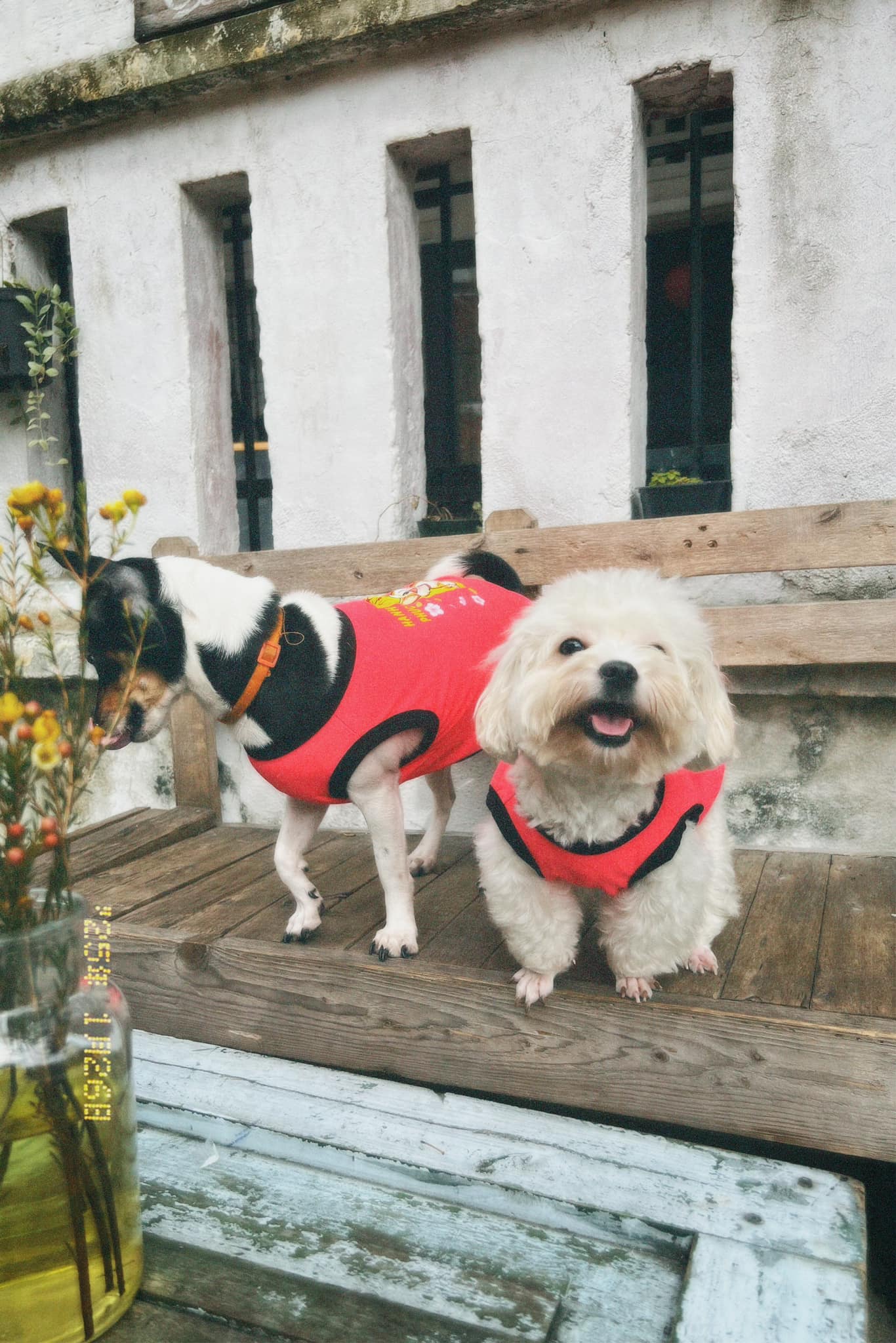 Cổ Động Cà Phê