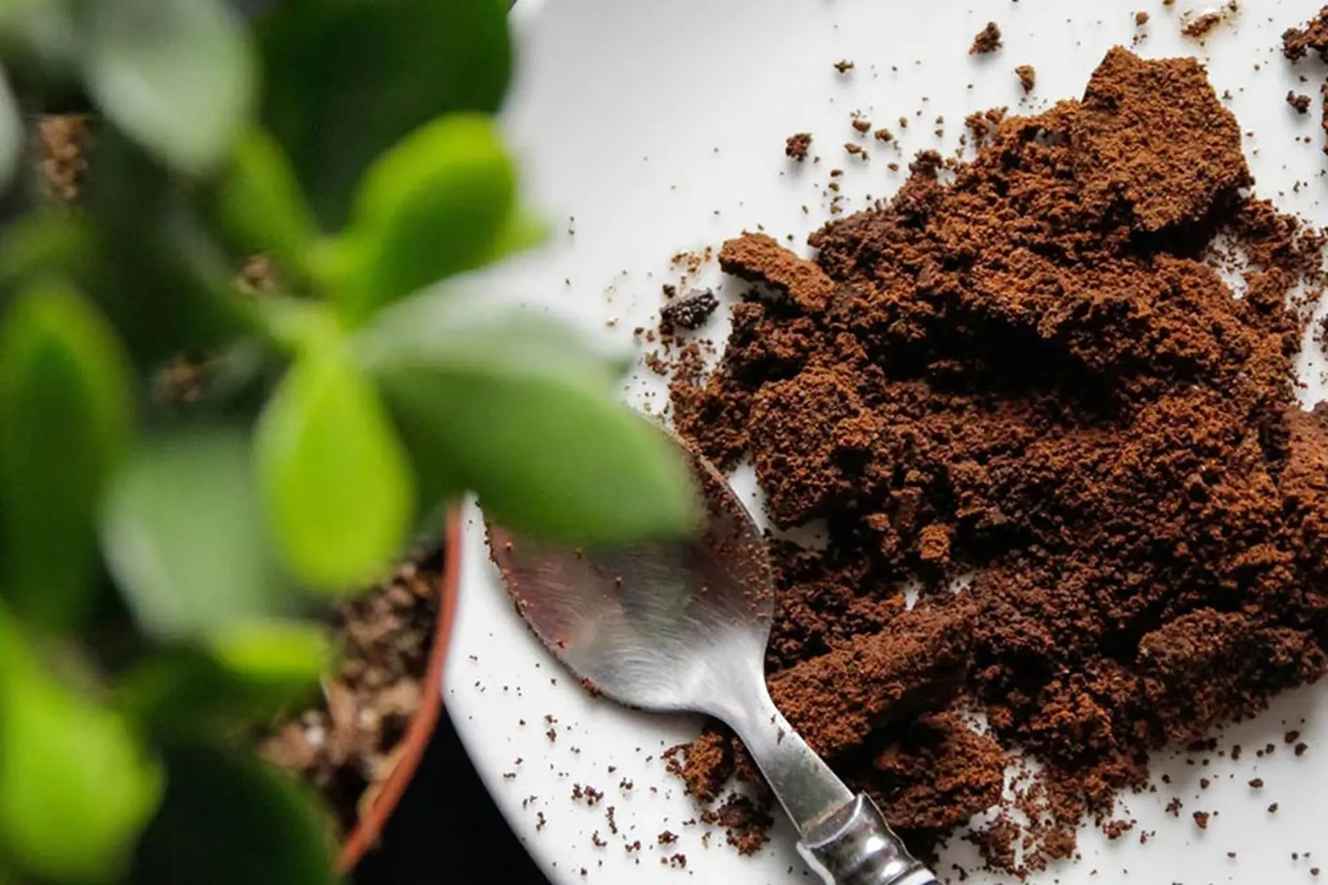Bảo Quản Bã Cà Phê: Kinh Nghiệm Từ The Cups Coffee