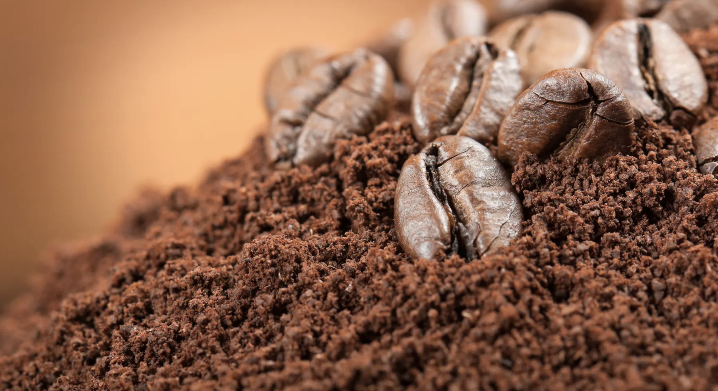 Bảo Quản Bã Cà Phê: Kinh Nghiệm Từ The Cups Coffee
