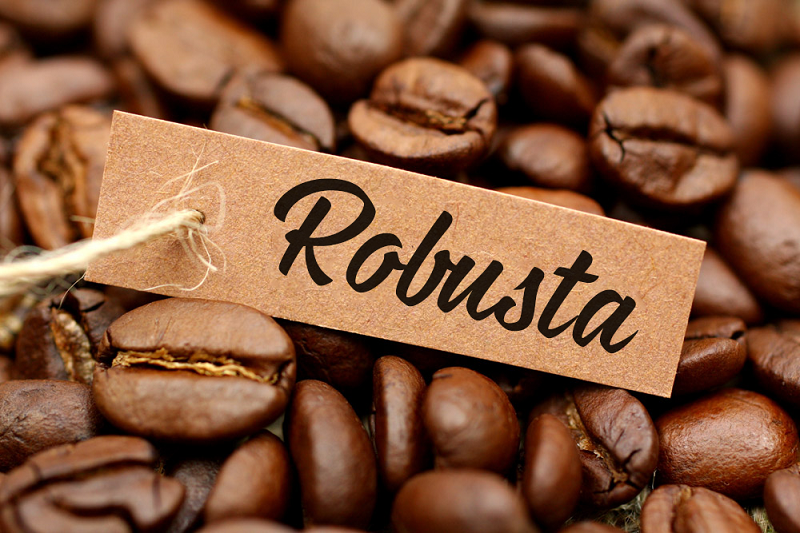 Bảo Quản Cà Phê Robusta: Bí Quyết Để Giữ Vẹn Nguyên Hương Vị Tươi Mới