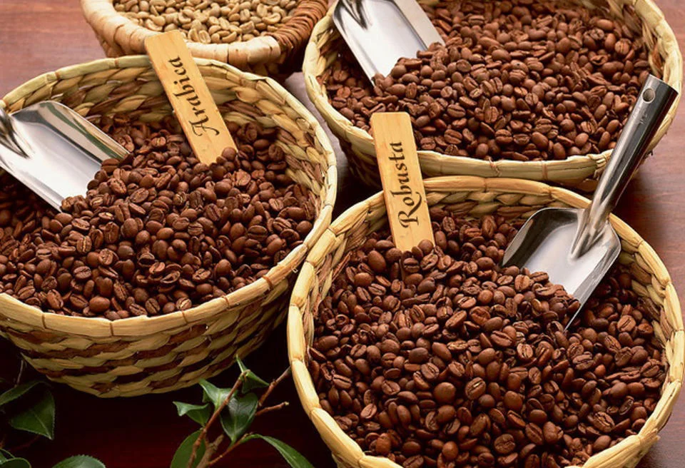 Bảo Quản Cà Phê Robusta: Bí Quyết Để Giữ Vẹn Nguyên Hương Vị Tươi Mới