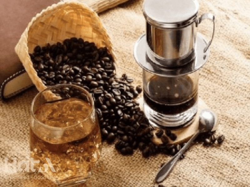 Cách Chọn Cà Phê Pha Phin Đúng Chuẩn, Thơm Ngon, Hảo Hạng