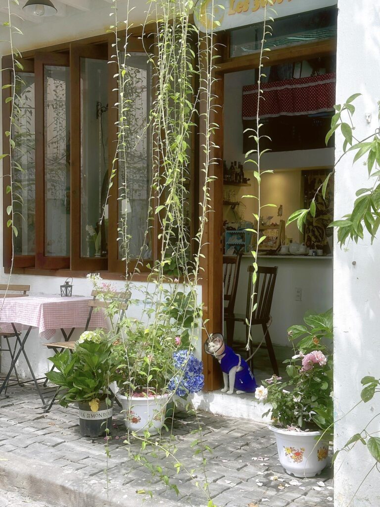 Top 13 quán cà phê bánh ngọt ở Đà Nẵng khiến bạn “đổ gục” từ lần đầu ghé