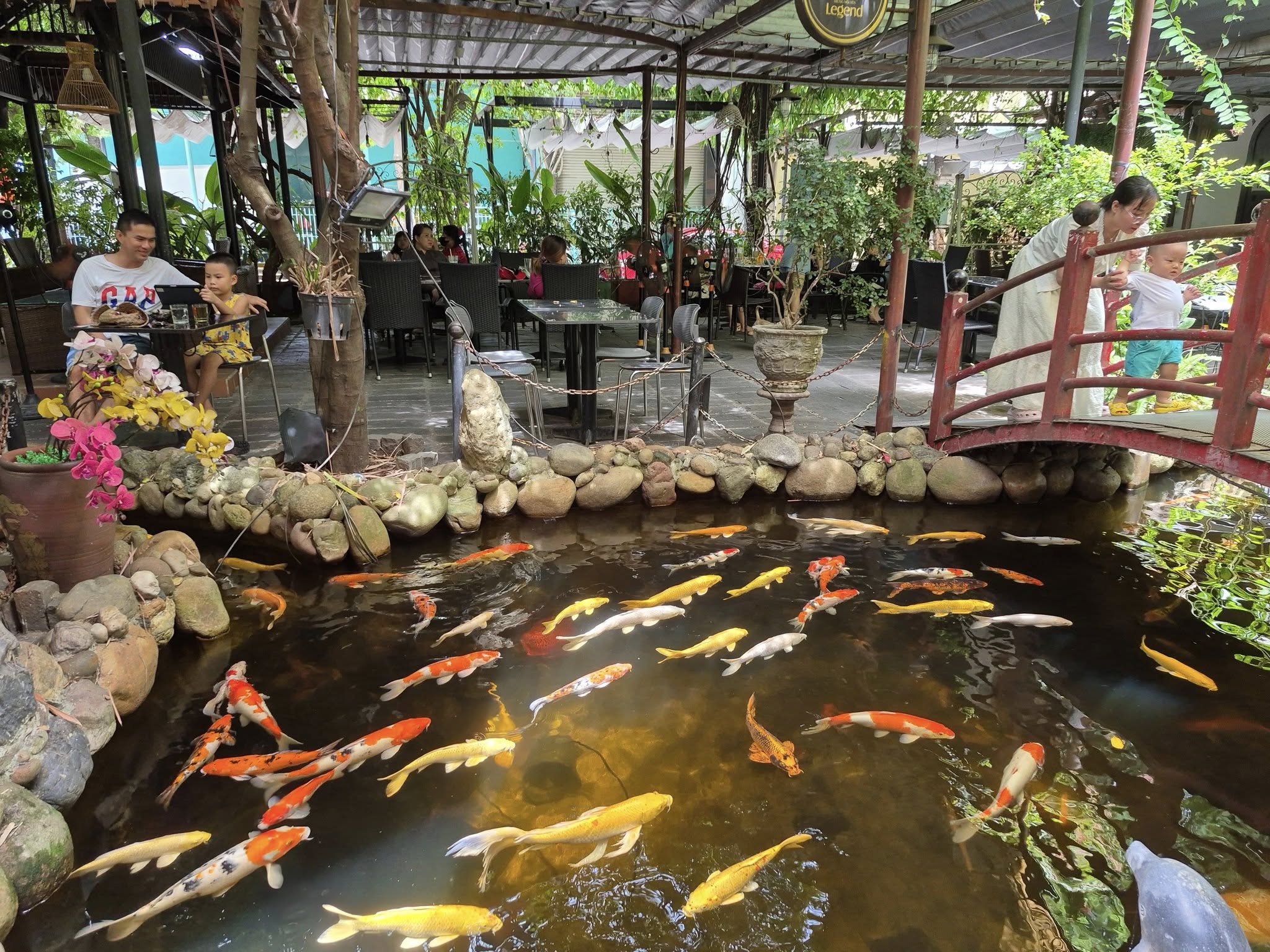 Cà phê vườn – hồ cá An Hoà Viên