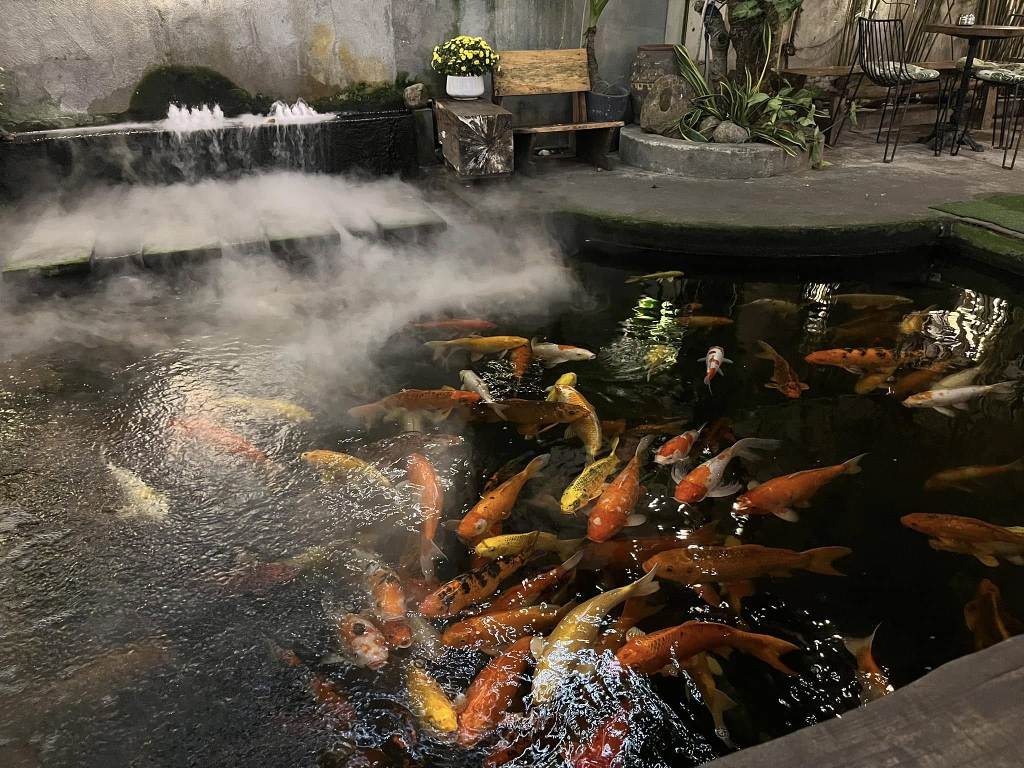 Cà phê Wind Garden  