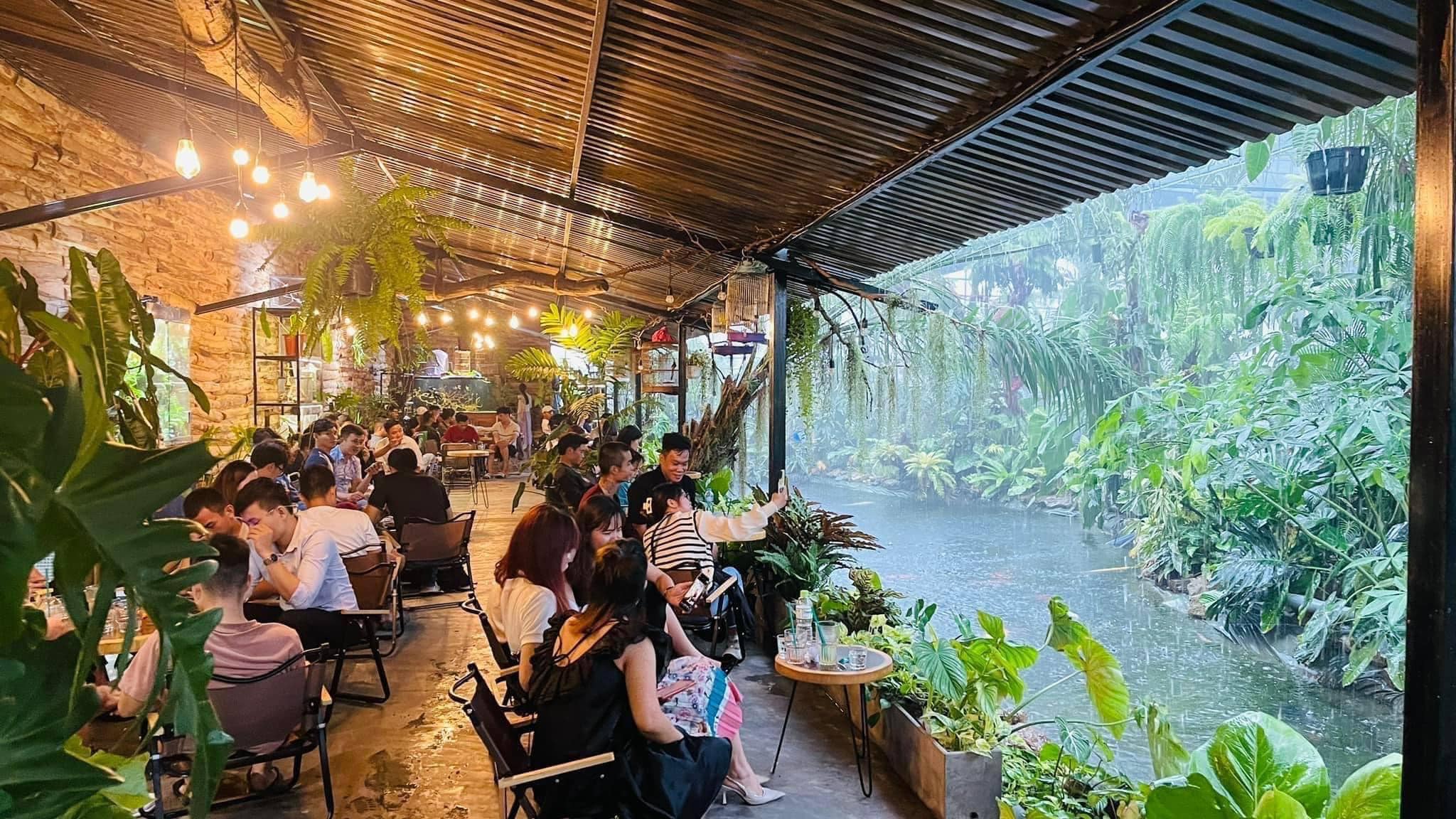 Review Tiệm cây và nước: Khu vườn nhiệt đới cho những tâm hồn yêu thiên nhiên