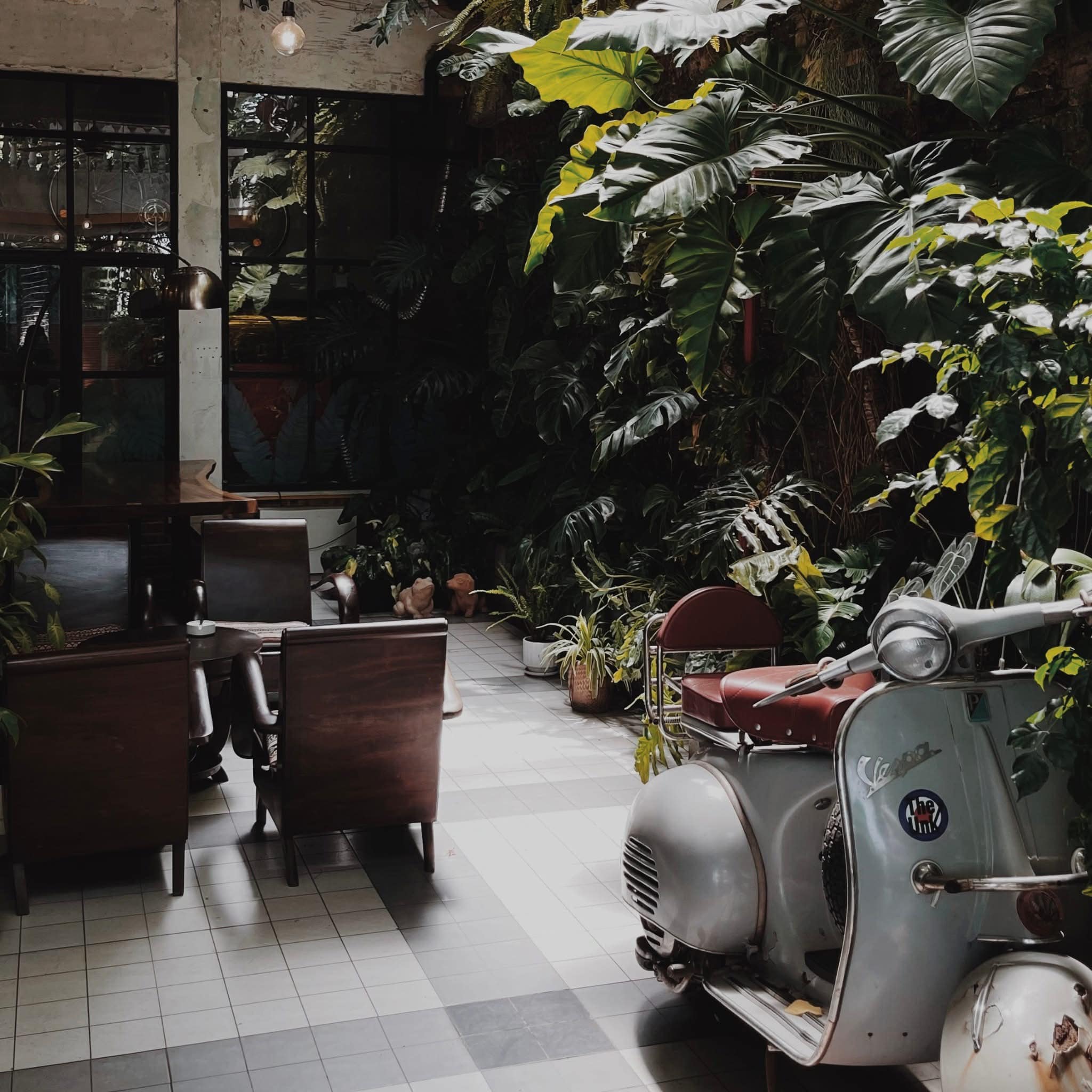 Giới Thiệu - Ambre