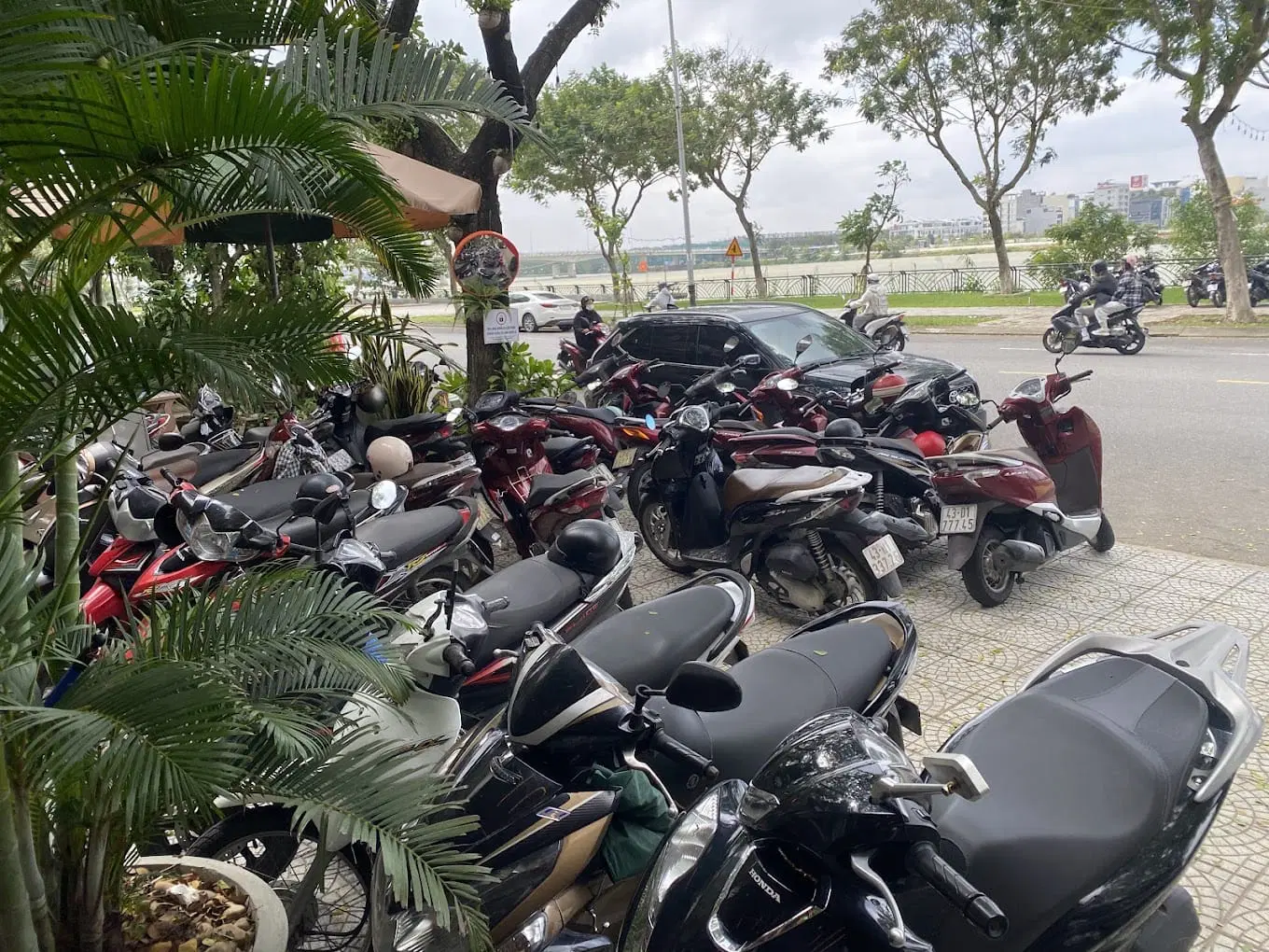 Vị trí lí tưởng