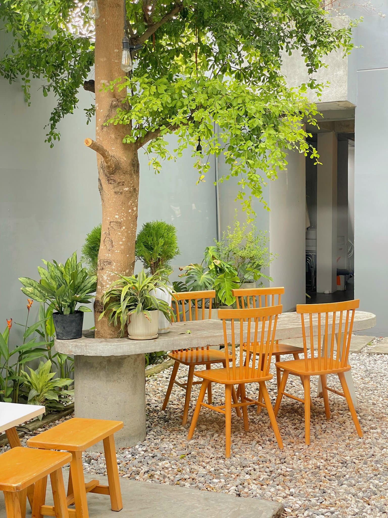 Vị tri của quán