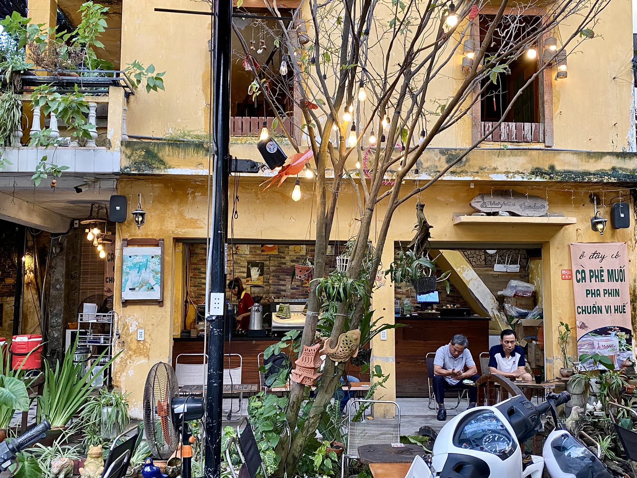 Mayaca Garden Coffee