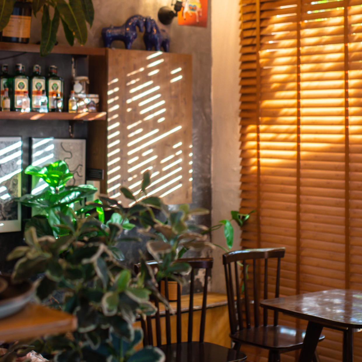 Thachy Coffee – Thanh Hải