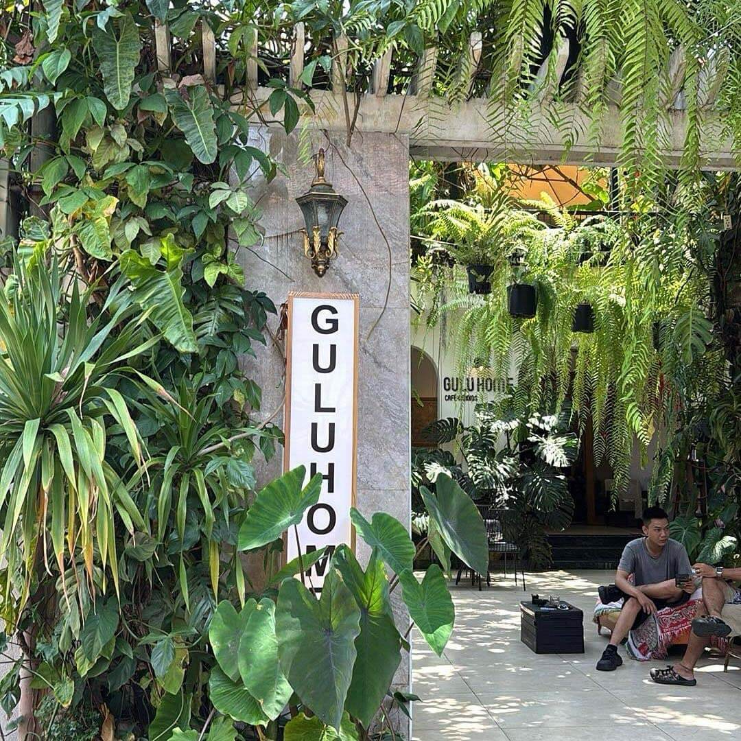 Gulu Home Café & Aroids
