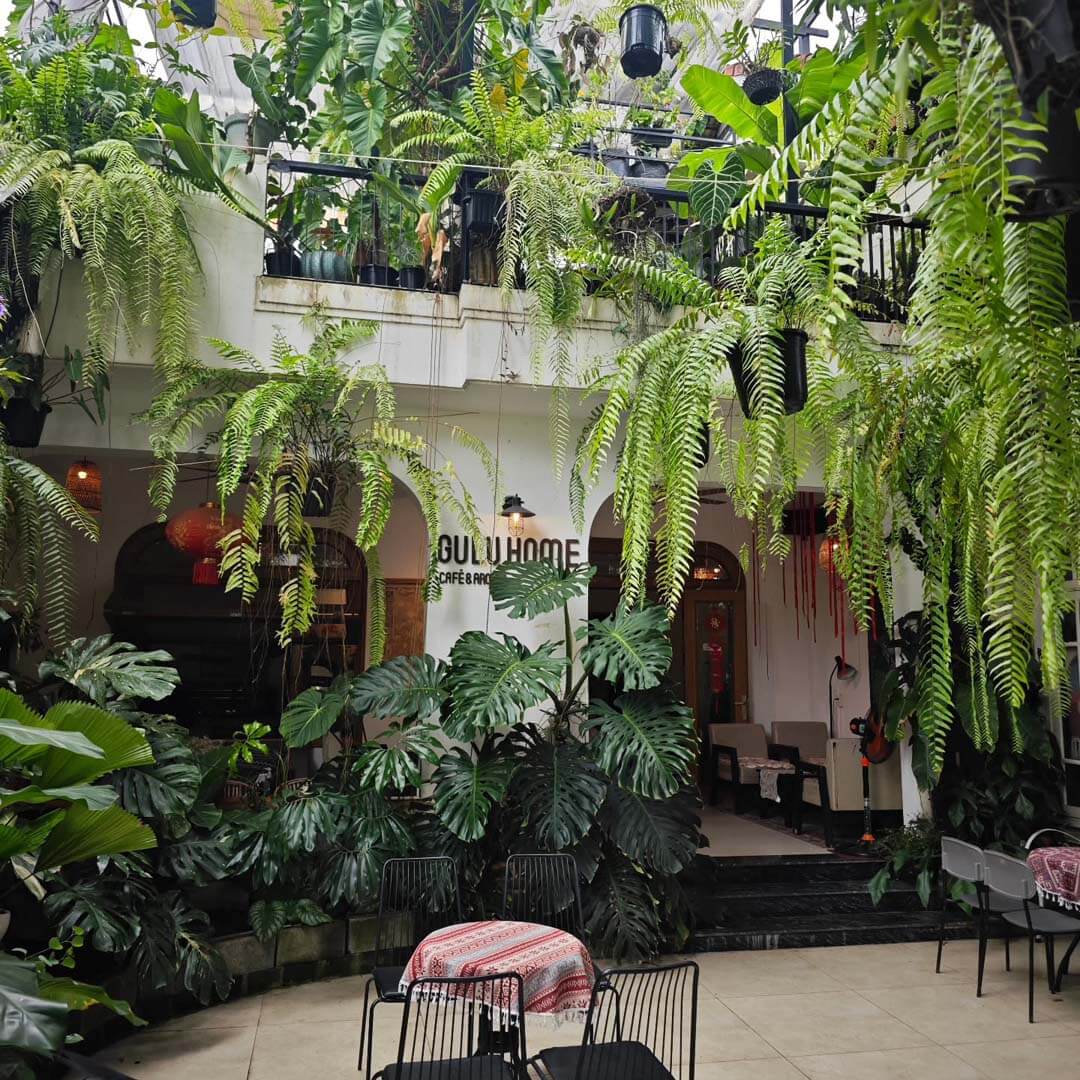 Gulu Home Café & Aroids