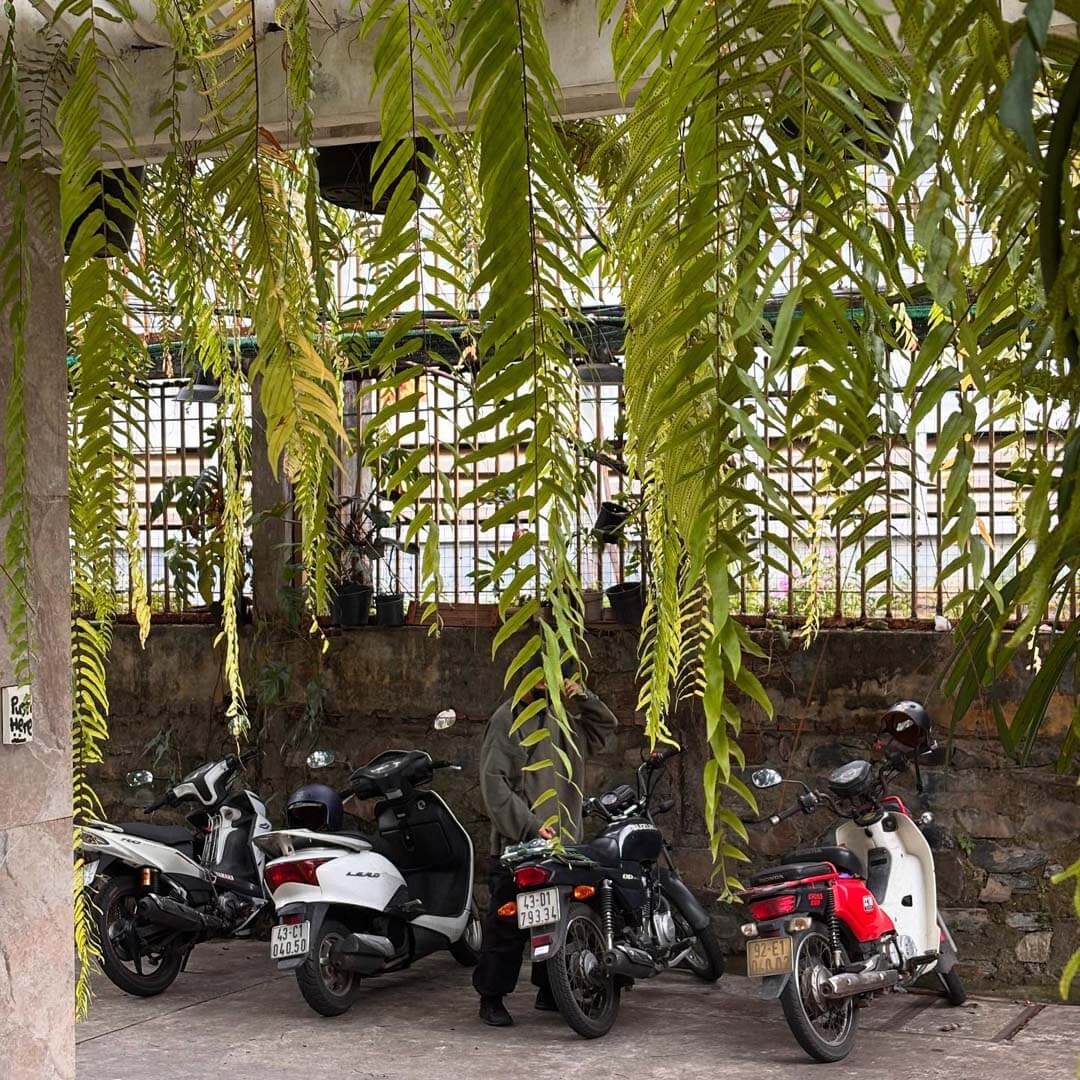 Gulu Home Café & Aroids