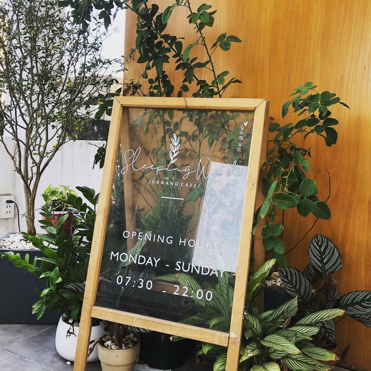 Sleeping Wood Caf&eacute;