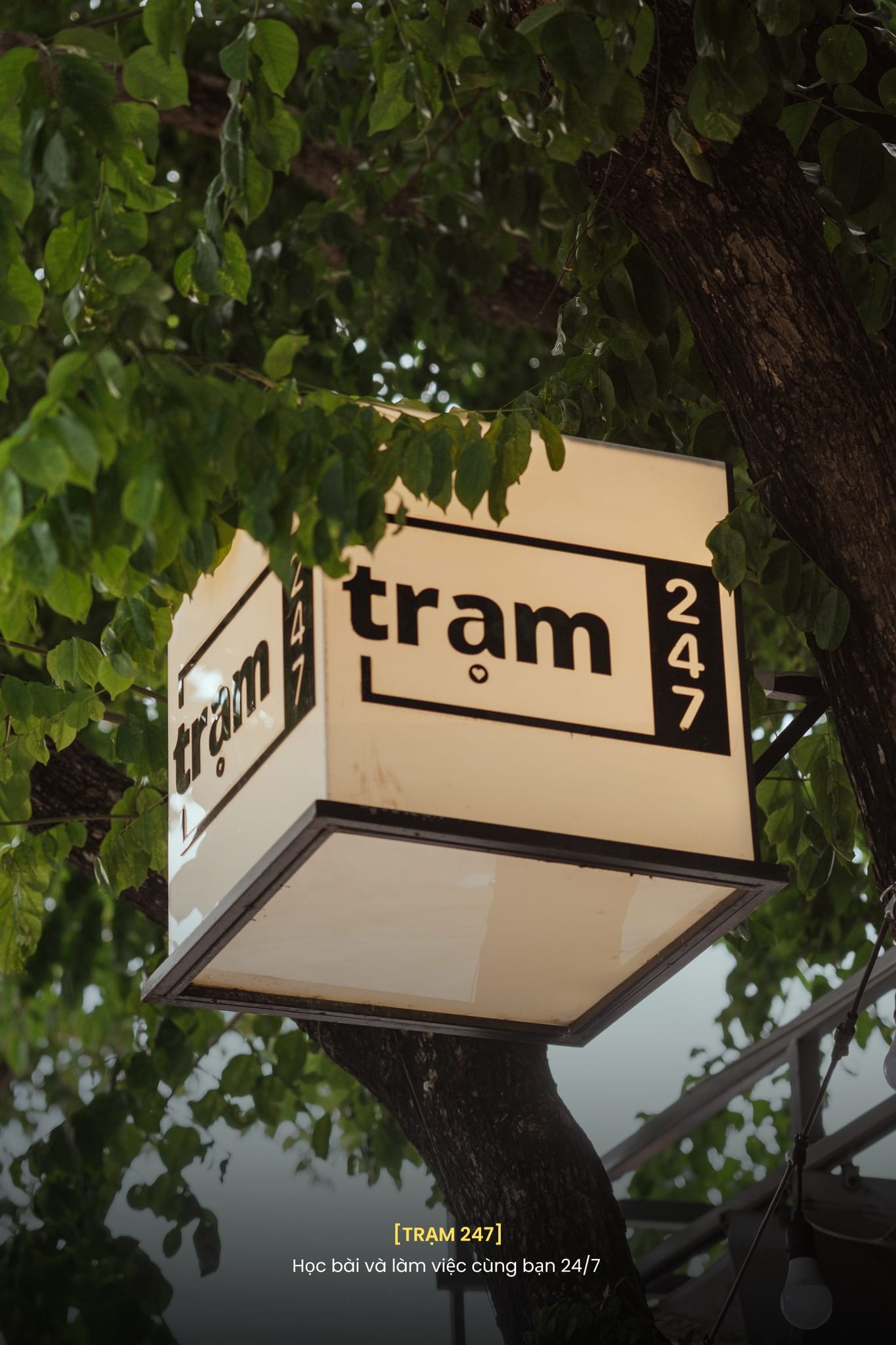 Mua bản đồ và chất lượng dịch vụ