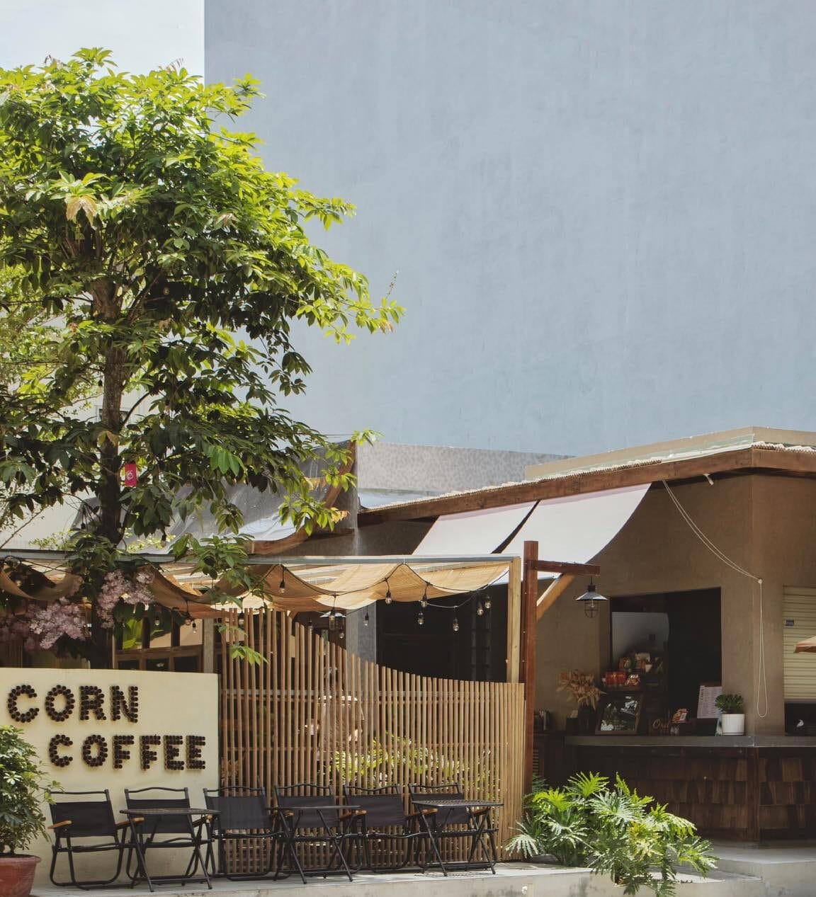 Corn Coffee