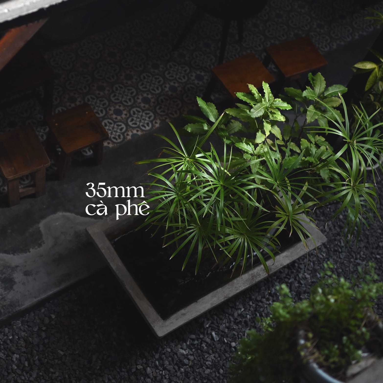 35mm Cà Phê