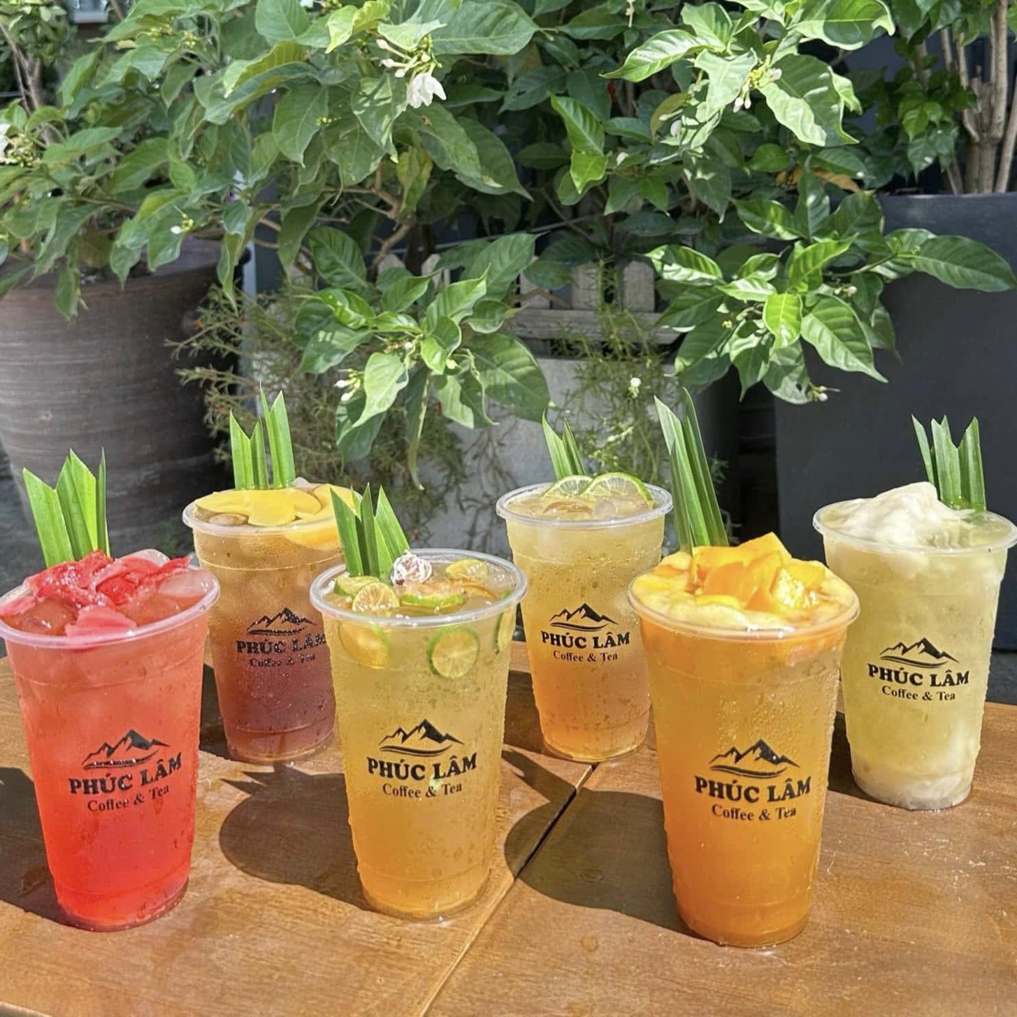 Phúc Lâm Coffee & Tea 