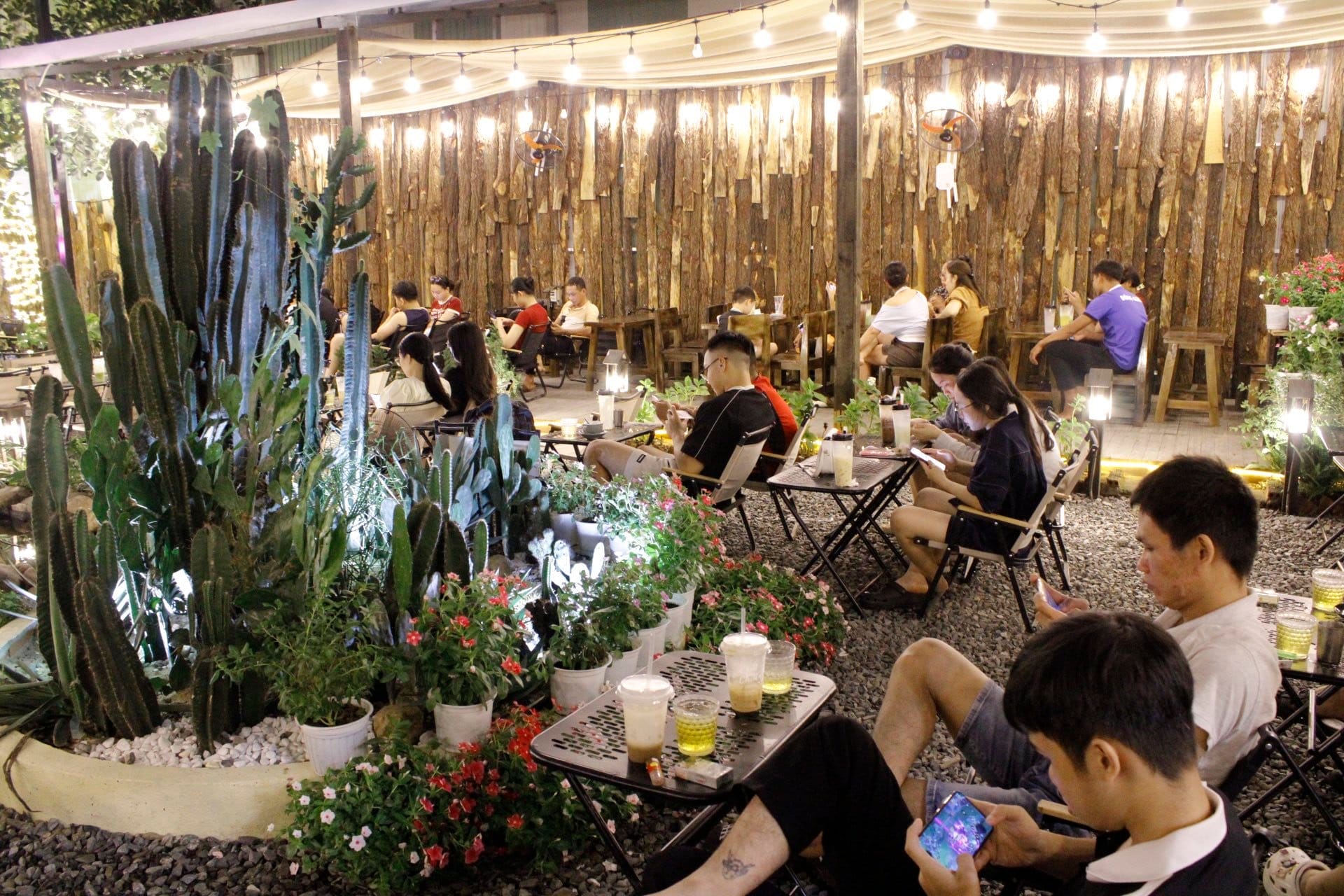 Đánh giá từ khách hàng