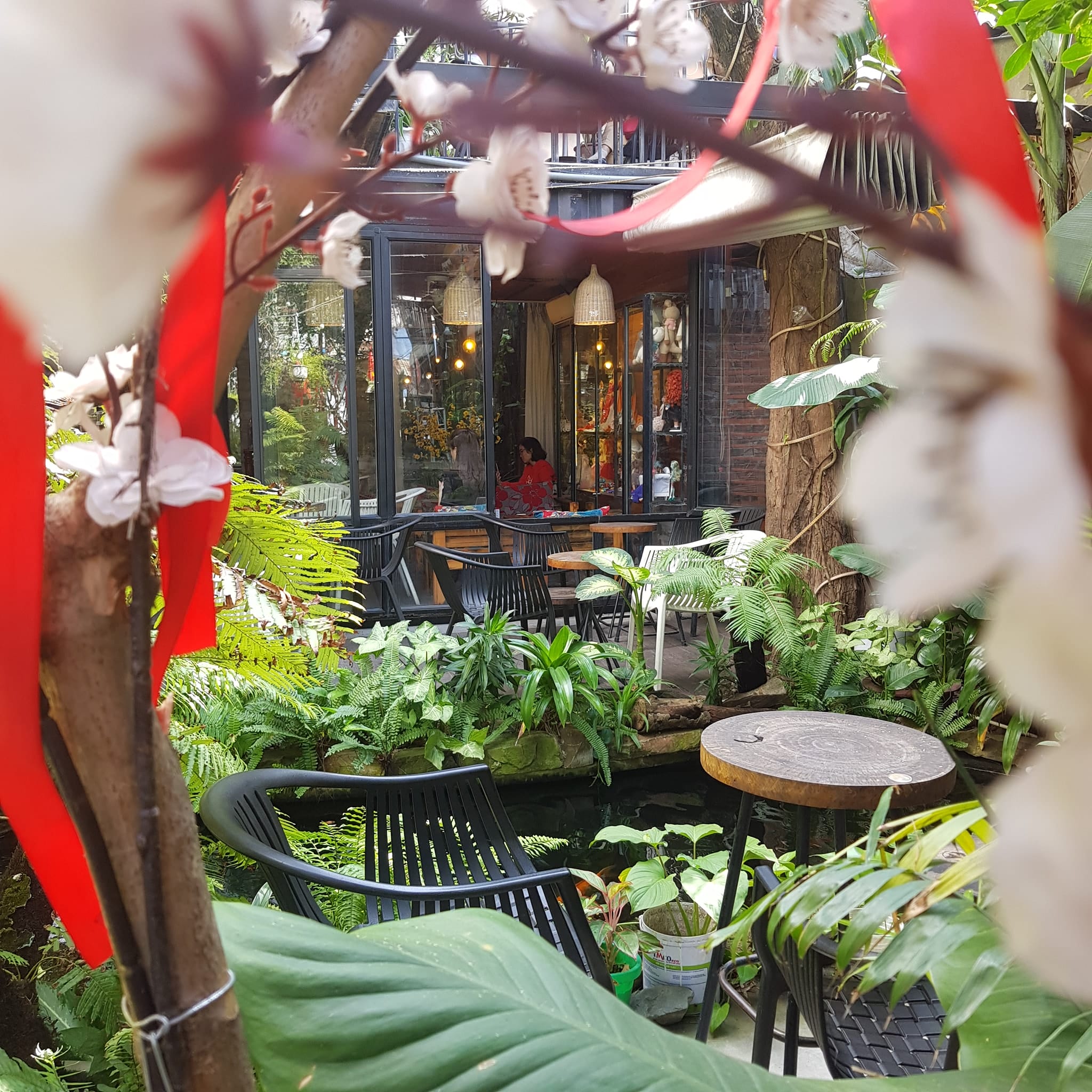 giới thiệu quán - doll coffee