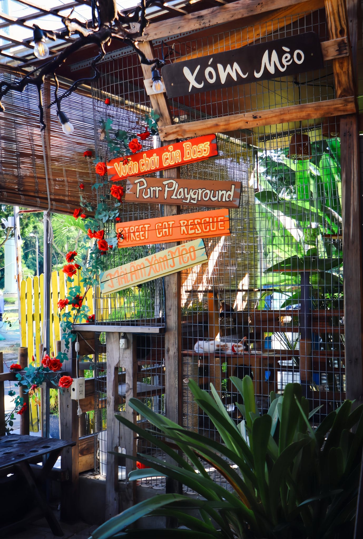 Cà phê & Cửa hàng thú cưng