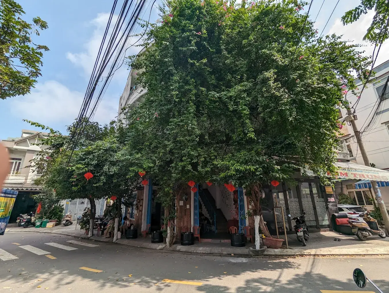 Tiệm Cà Phê Cỏ