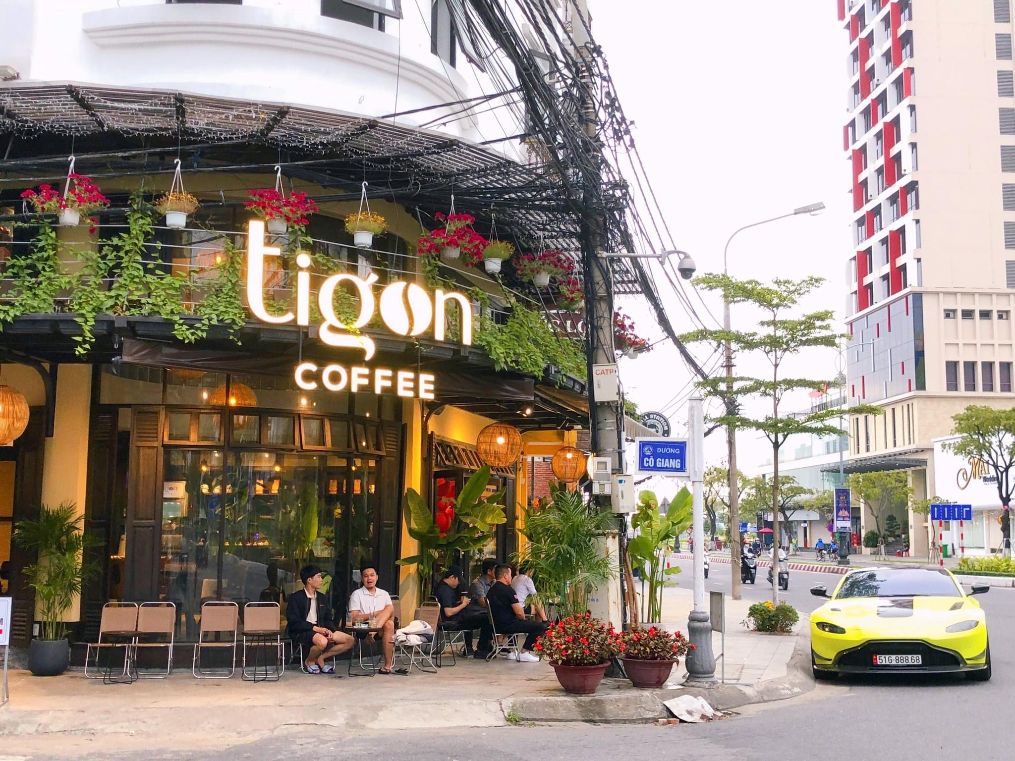 tigon coffee