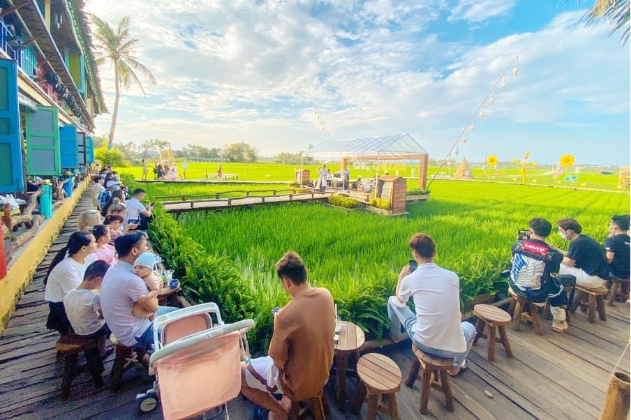 Quán cafe Hội An view đẹp tại Chic Chillax với góc nhìn ra cánh đồng xanh