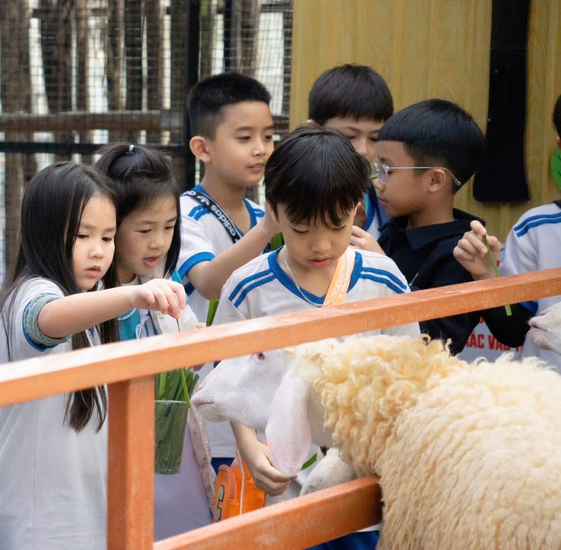 Mô hình cafe thú độc lạ tại Hội An